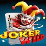 Serunya Joker Wild PG Soft Bikin Lupa Waktu Banget