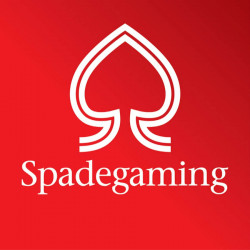 Spadegaming: Mengenal Provider Game Digital Populer