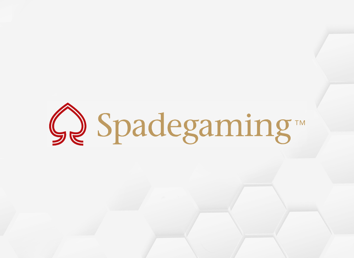 Spadegaming: Mengenal Provider Game Digital Populer